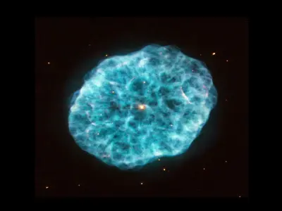 Oyster Nebula 3D model