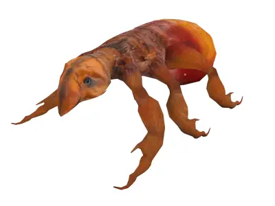 Fleas Insect Tick Louse 3D model Low-poly 3D model