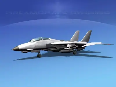 Grumman F-14D Tomcat Bare Metal 3D model