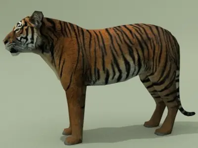 LowPoly Tigers two Free low-poly 3D model