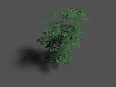 low poly forest tree 1 Low-poly 3D model