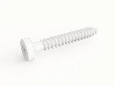 Screw 133 3D model