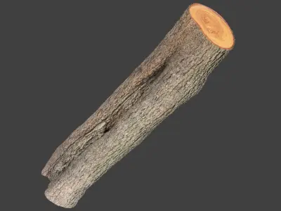 Logs Collection V3 3D model