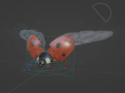 Ladybug Coccinella Low-poly 3D model