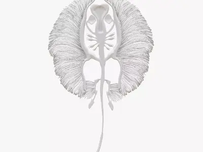 stingray fish bone Low-poly 3D model