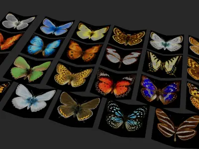 Butterflies  Animated Rigged Collection  Low-poly 3D model