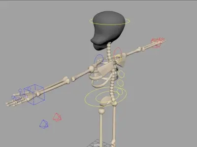 Skeleton Fully Rigged 3D model