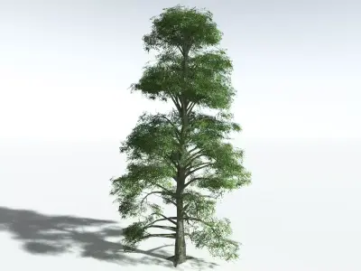 EVERYPlant Idiot Fruit Tree LowPoly Low-poly 3D model