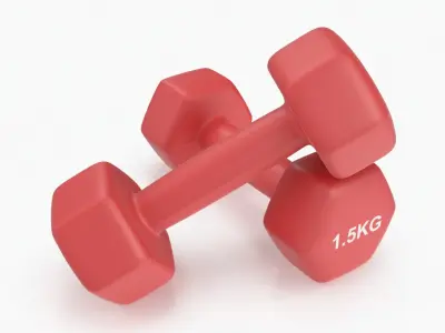 Plastic Fitness Dumbbells 1.5kg 3D model