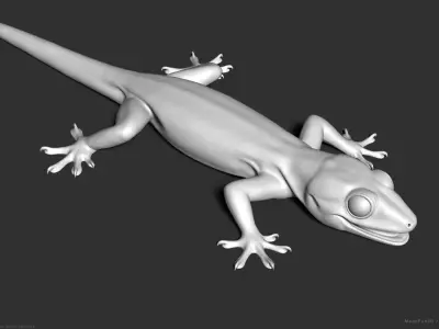 Tropical House Gecko Lizard - Highpoly Model 3D model