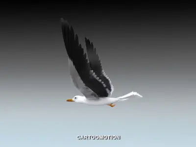 Animated Birds Low-poly 3D model