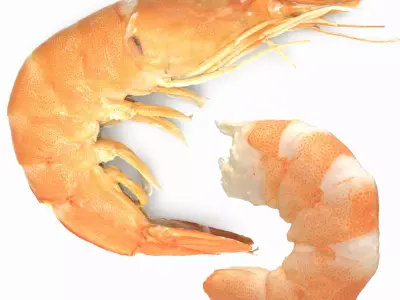 Boiled Shrimp Low-poly 3D model