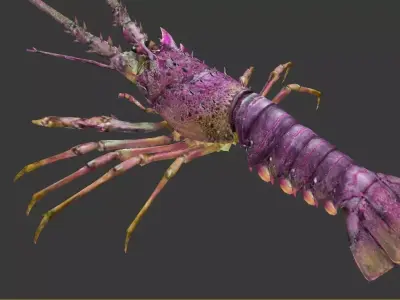 lobster Australian lobster Low-poly 3D model