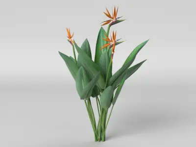 Bird of Paradise 3D model