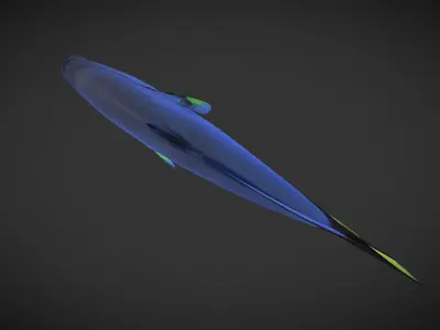 Fish Paracanthurus hepatus 1 Low-poly 3D model