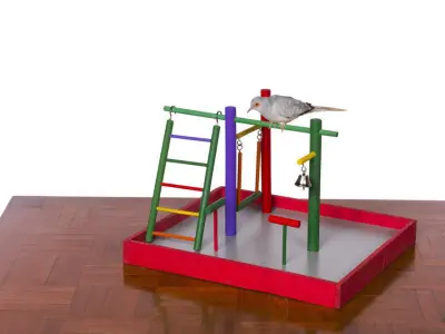 Charlan Wood Bird Play Gym  3D model
