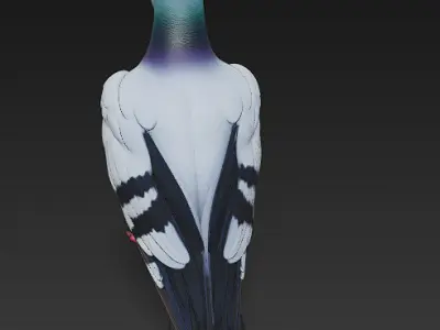 Pigeon  Realistic 3D Model Basic - Low Poly Realistic Low-poly 3D model