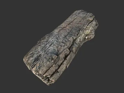 Realistic tree trunk Low-poly 3D model