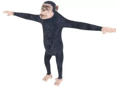 Low poly Ape Model chimpanzee Free low-poly 3D model