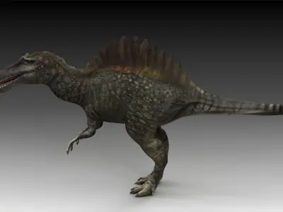 spinosaurus dinosaur jurassic prehistoric reptile creature  3D model