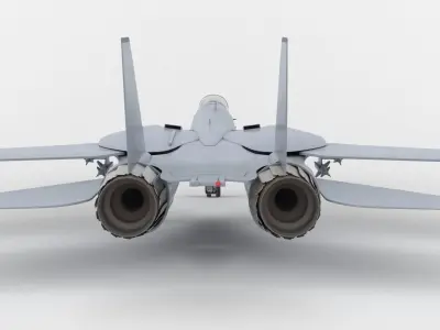 F-14 Tomcat 3D model