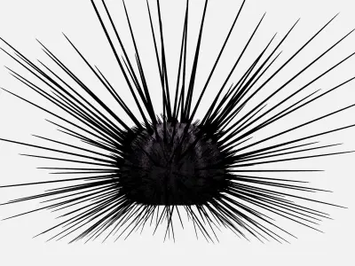 Sea urchin Low-poly 3D model