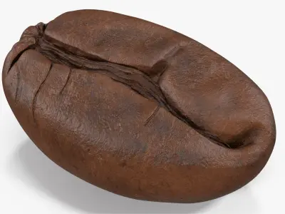 Coffee Bean Roasted 4 v 2 3D model