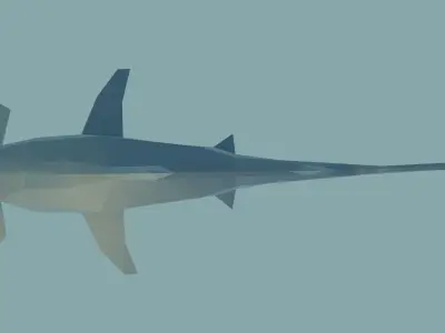 Hammerhead Shark Free low-poly 3D model