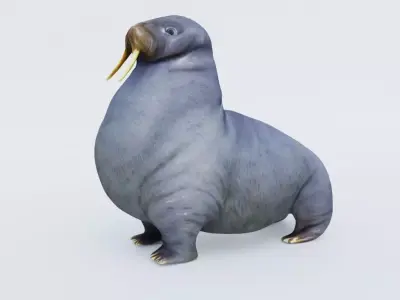 Walrus Free 3D model