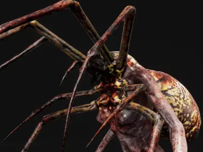 Mutant Spider - Horror Insects Collection Low-poly 3D model