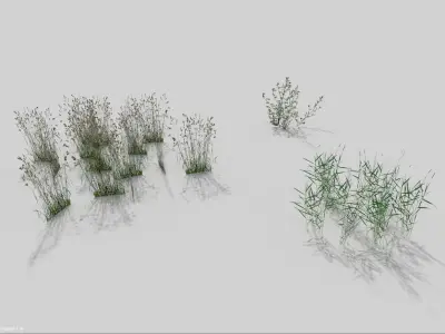 grass pack Low-poly 3D model