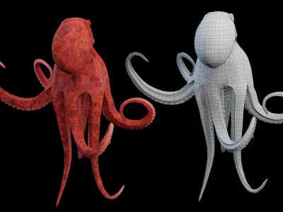 Animated Octopus Low-poly 3D model