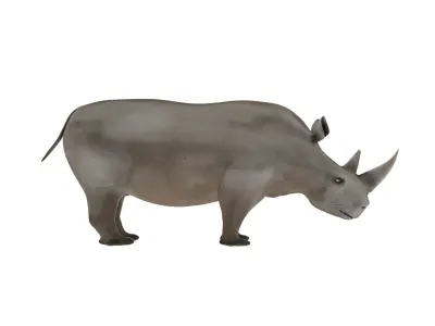 Rhino 3D Model Rigged and Animated Low-poly 3D model