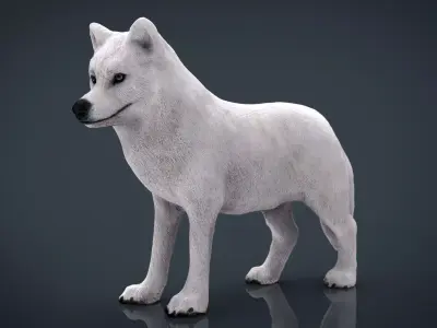 Artic Wolf  Low-poly 3D model