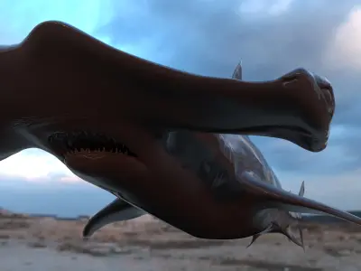 Realistic Hammerhead Shark 3D Model - High Poly and Low Poly  Low-poly 3D model