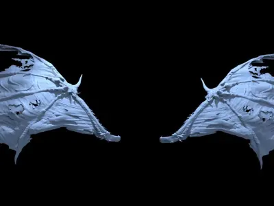 Bat Wings Collection 1 3D model