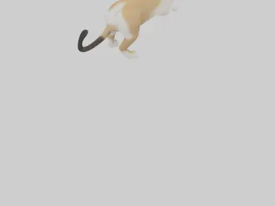 Manx Cat playing model 3 hands Low-poly 3D model