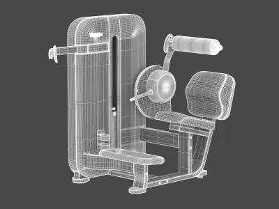 Technogym Selectorized Artis Lower Back 3D model