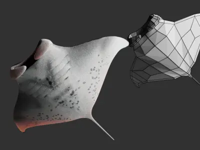 Animated Manta Ray Low-poly 3D model