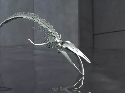 Dinosaur Bones 3D model