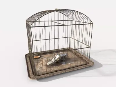 Old Bird Cage and  Bird 3D model