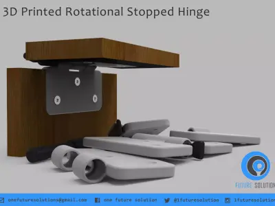 3D Printed Rotational Stopped Hinge Free 3D print model