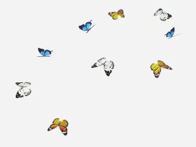 Animated Low Poly Art Several Butterflie Insect Low-poly 3D model