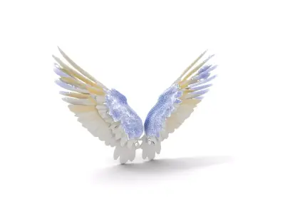 Elegant White Wings model pack Low-poly 3D model