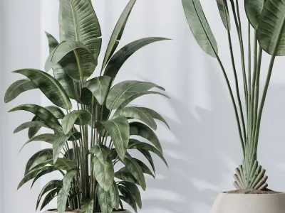 HQ Plants Bird Of ParadiseBird Vase Set06 3D model