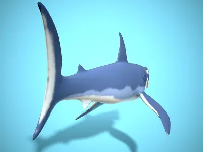 cartoon mako shark Low-poly 3D model