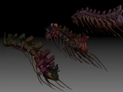 Dinosaur Spinosaurus Tyrannosaurus Giganotosaurus Neck Skeletons 3D model