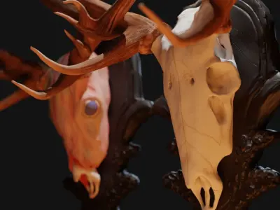 Red Deer Skull with wall mount Low-poly 3D model