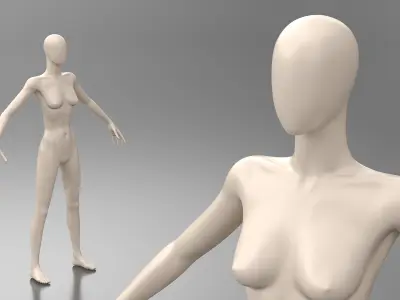 Mannequin Female 3D model