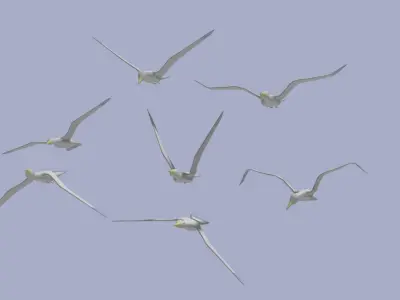 Low Poly Seagull group of birds flying in sky Low-poly 3D model
